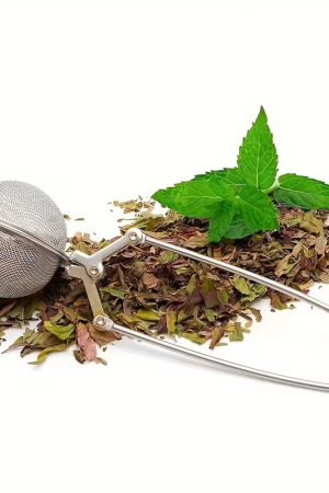 50060   Φίλτρο τσαγιού από ατσάλι 304 με χειρολαβή